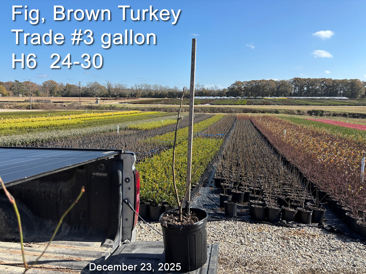 gallery/fbt3t h6 dec23.jpg